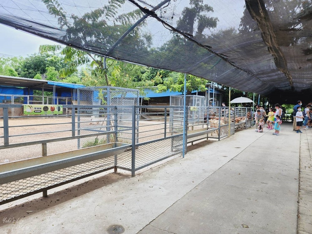 台南景點》樹谷農場，好多小動物超療癒，親子好去處還能溜滑梯！ - yuki.tw