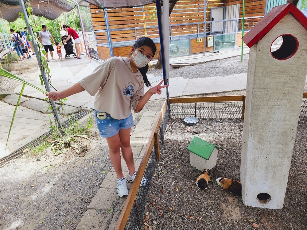 台南景點》樹谷農場，好多小動物超療癒，親子好去處還能溜滑梯！ - yuki.tw