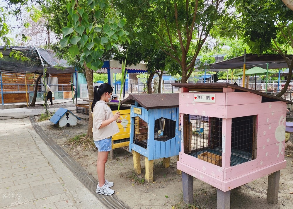 台南景點》樹谷農場，好多小動物超療癒，親子好去處還能溜滑梯！ - yuki.tw