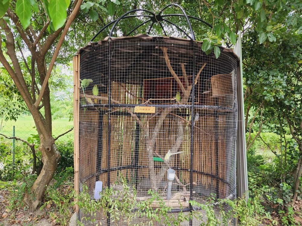 台南景點》樹谷農場，好多小動物超療癒，親子好去處還能溜滑梯！ - yuki.tw