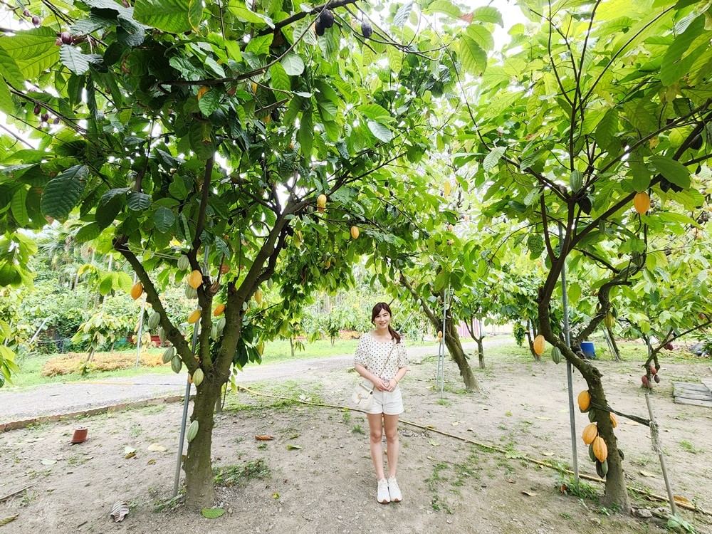 屏東萬巒景點》Cocosun可茵山可可莊園，可可農場好壯觀，還能吃巧克力餐 - yuki.tw