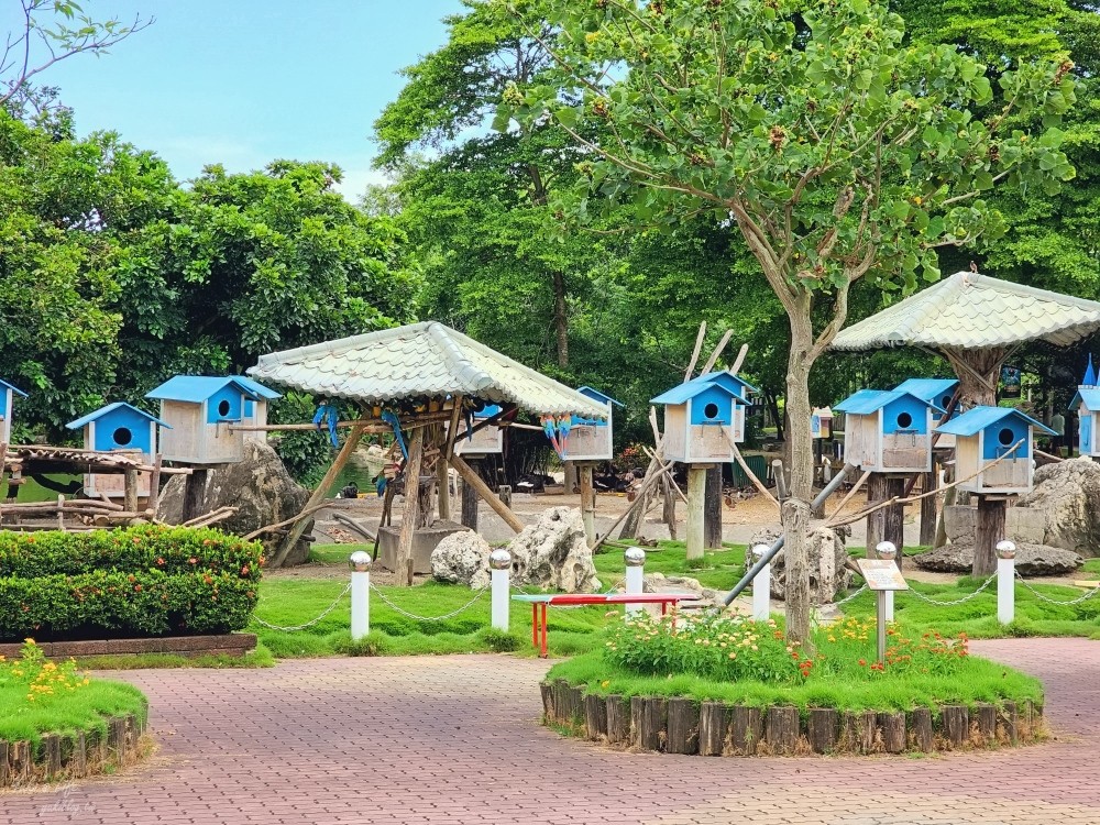 【台南景點】頑皮世界野生動物園(優惠門票)水豚君、水樂園~親子好去處 - yuki.tw