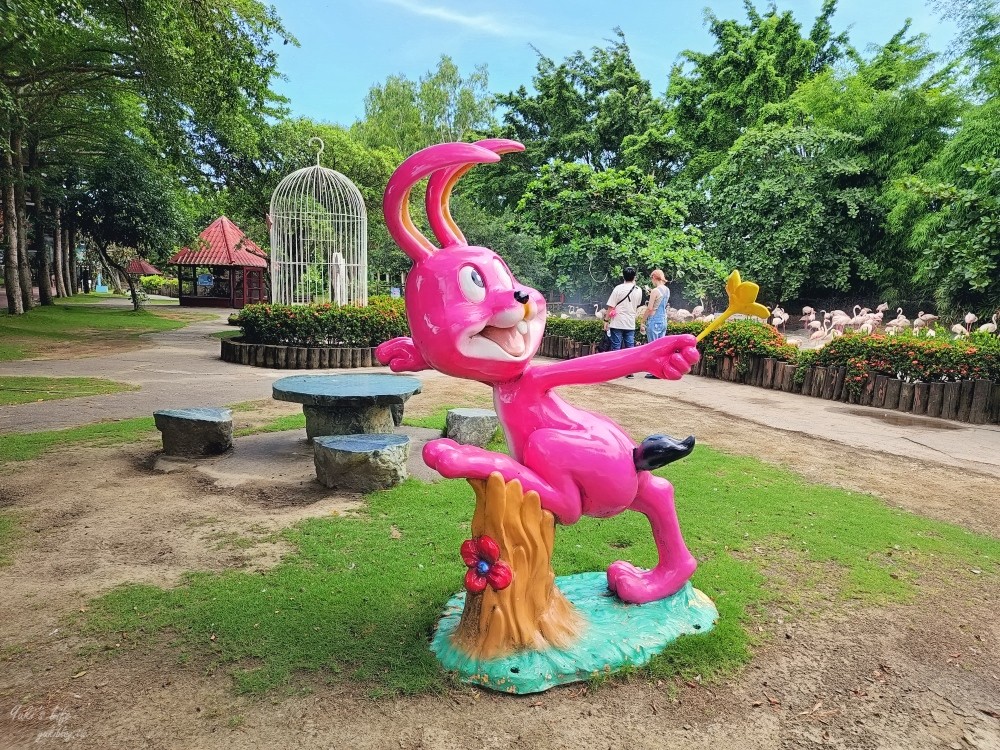 【台南景點】頑皮世界野生動物園(優惠門票)水豚君、水樂園~親子好去處 - yuki.tw