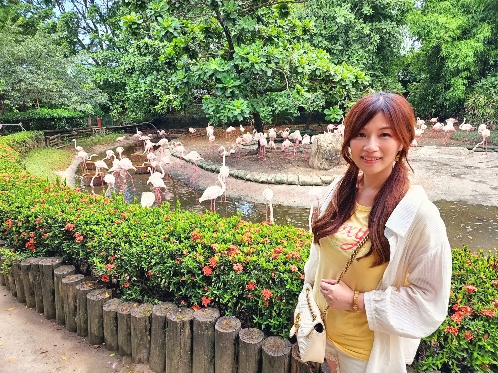 【台南景點】頑皮世界野生動物園(優惠門票)水豚君、水樂園~親子好去處 - yuki.tw