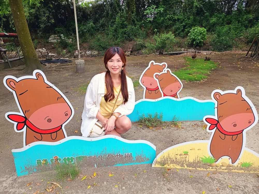 【台南景點】頑皮世界野生動物園(優惠門票)水豚君、水樂園~親子好去處 - yuki.tw