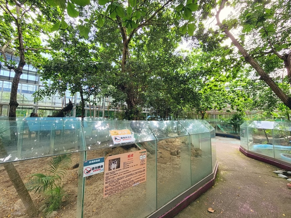 【台南景點】頑皮世界野生動物園(優惠門票)水豚君、水樂園~親子好去處 - yuki.tw