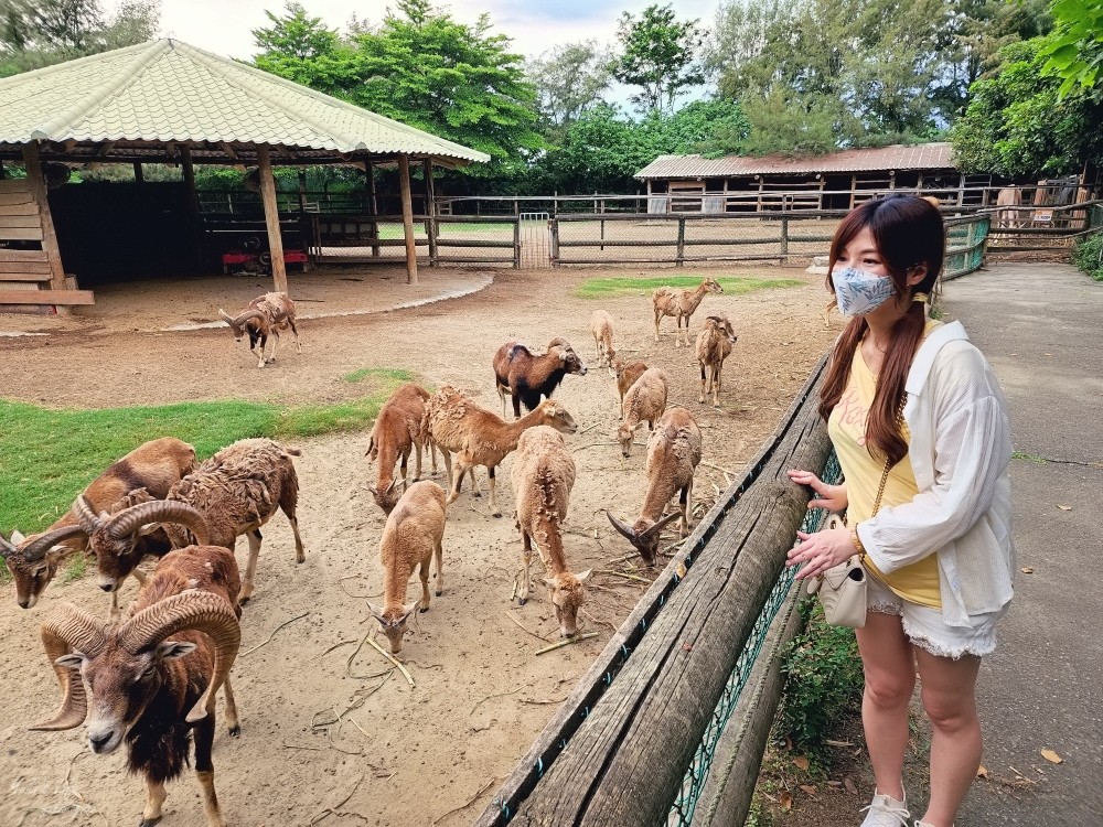 【台南景點】頑皮世界野生動物園(優惠門票)水豚君、水樂園~親子好去處 - yuki.tw