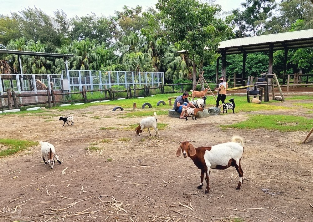 【台南景點】頑皮世界野生動物園(優惠門票)水豚君、水樂園~親子好去處 - yuki.tw