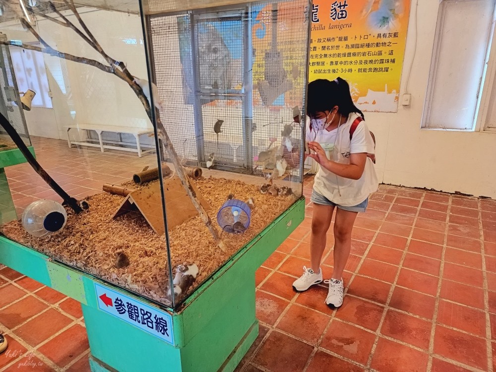 【台南景點】頑皮世界野生動物園(優惠門票)水豚君、水樂園~親子好去處 - yuki.tw