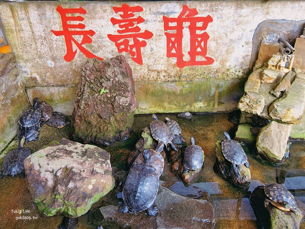 桃園景點》大溪蓮座觀音寺，登上百步雲梯的世外桃源，餵魚看長壽龜休閒好去處 - yuki.tw