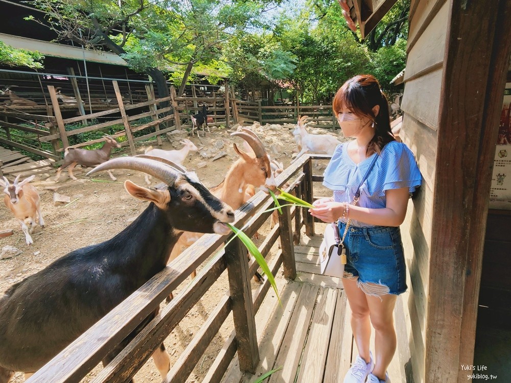 羊世界牧場》假日好去處小型動物園，桃園中壢親子景點 - yuki.tw