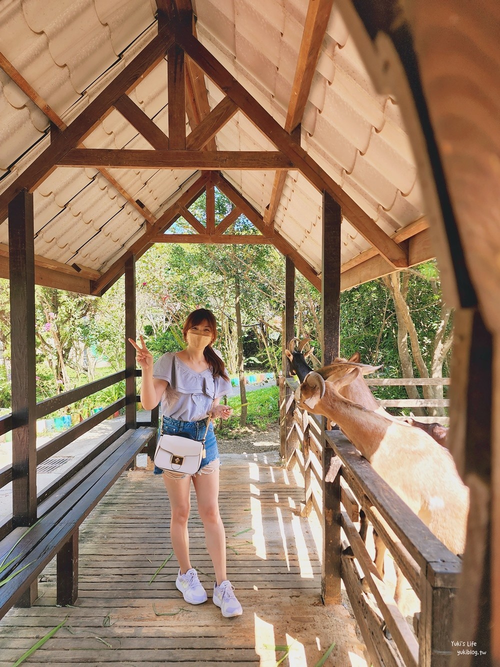 羊世界牧場》假日好去處小型動物園，桃園中壢親子景點 - yuki.tw