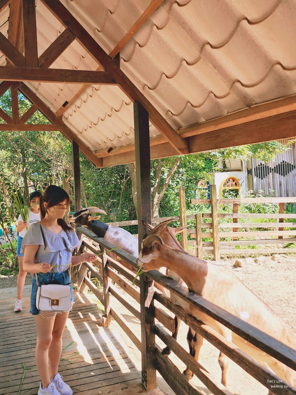 羊世界牧場》假日好去處小型動物園，桃園中壢親子景點 - yuki.tw