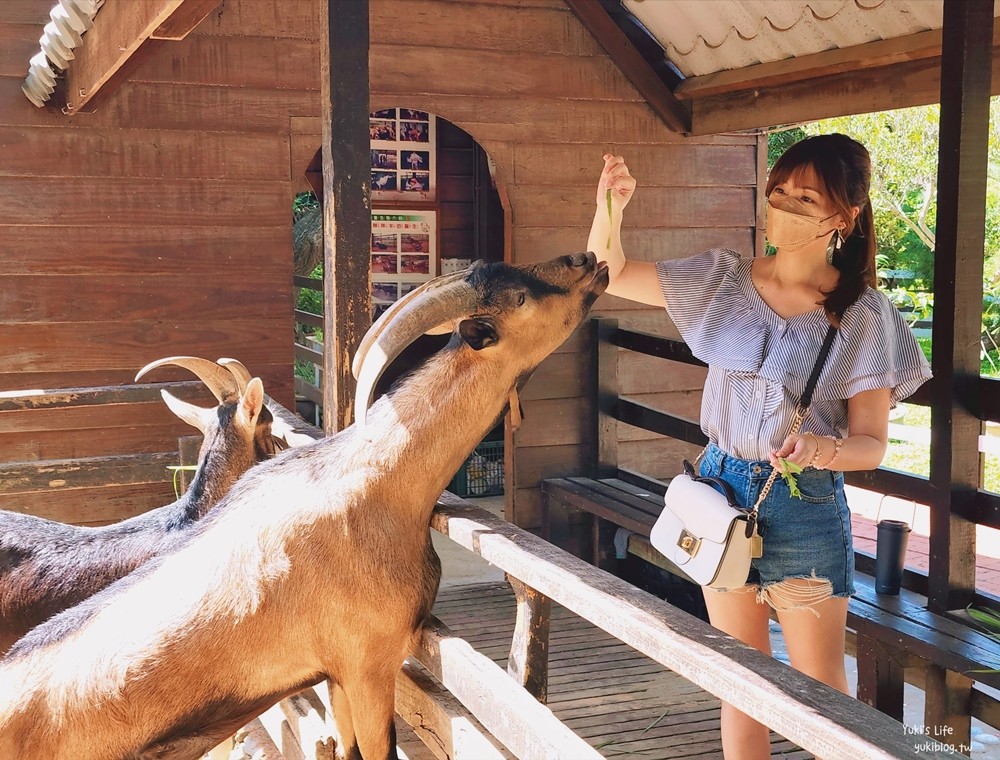 羊世界牧場》假日好去處小型動物園，桃園中壢親子景點 - yuki.tw