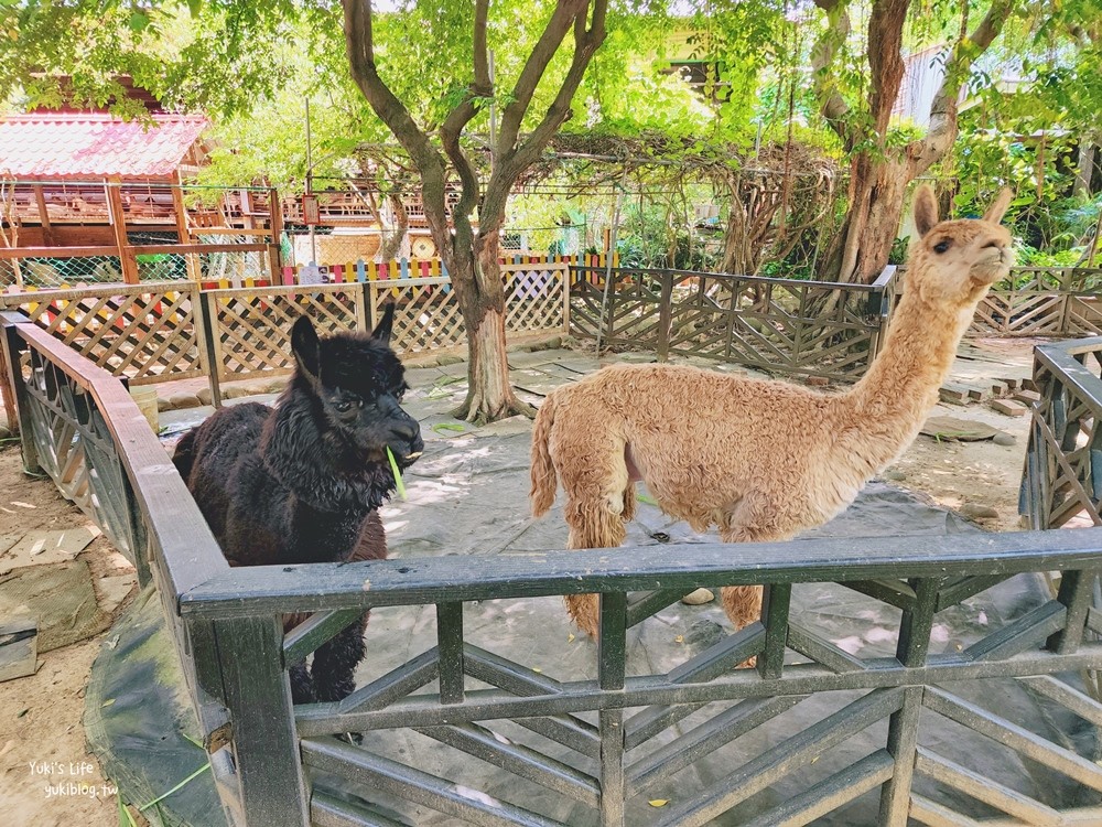 羊世界牧場》假日好去處小型動物園，桃園中壢親子景點 - yuki.tw