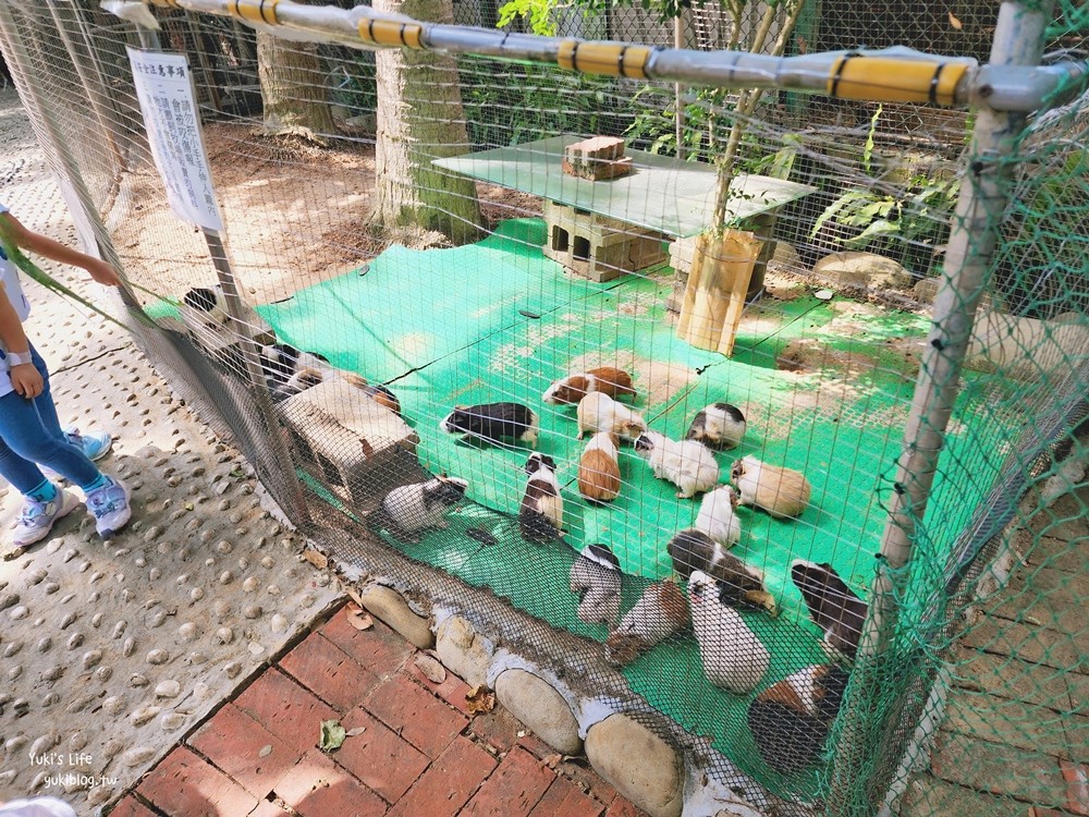 羊世界牧場》假日好去處小型動物園，桃園中壢親子景點 - yuki.tw