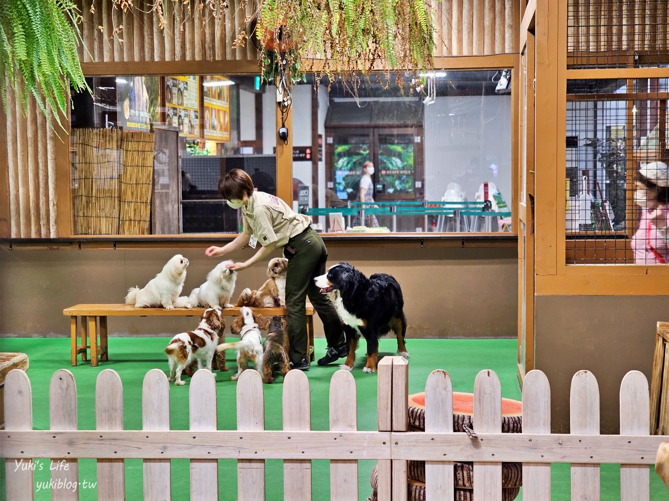 神戶景點》神戶動物王國，超夯親子推薦，室內動物園有水豚君在等你 - yuki.tw