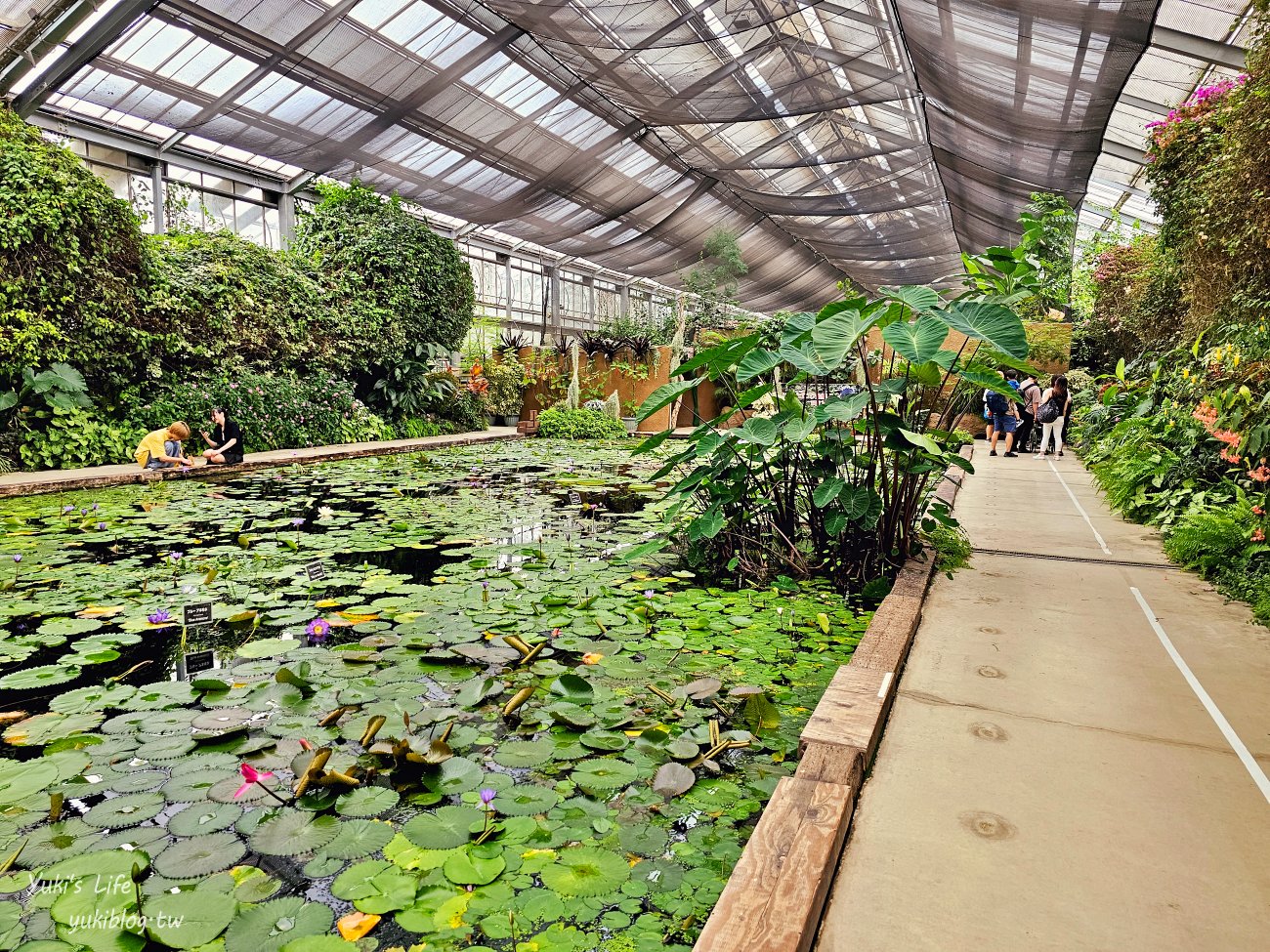 神戶景點》神戶動物王國，超夯親子推薦，室內動物園有水豚君在等你 - yuki.tw