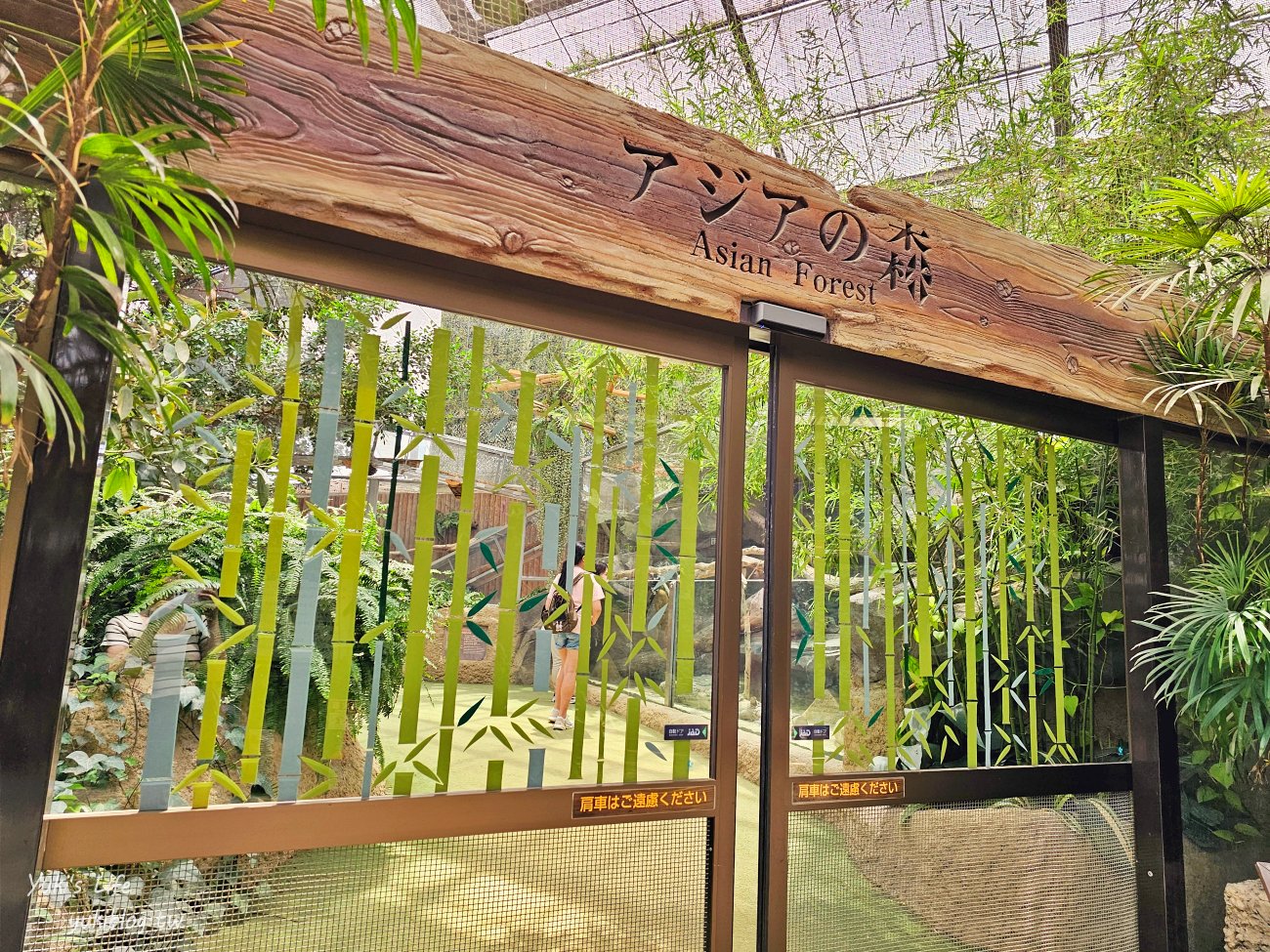 神戶景點》神戶動物王國，超夯親子推薦，室內動物園有水豚君在等你 - yuki.tw