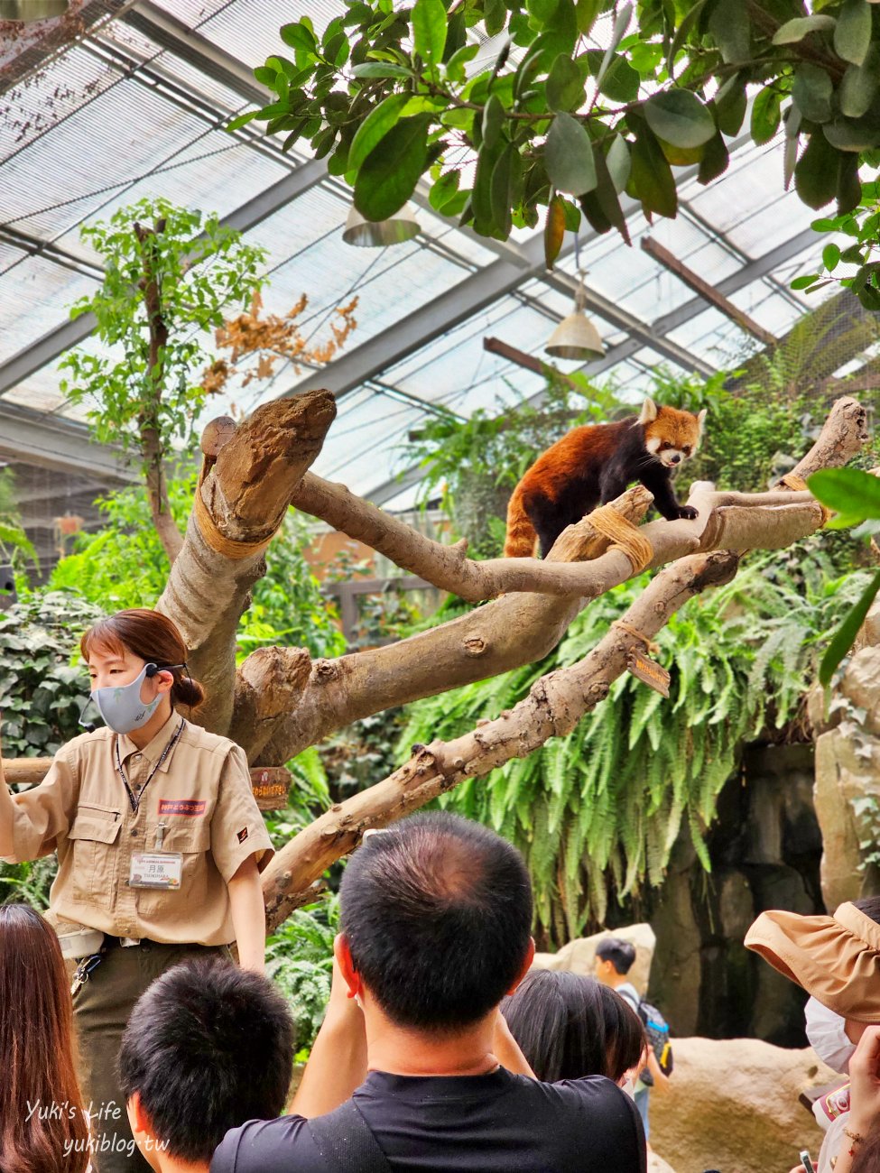 神戶景點》神戶動物王國，超夯親子推薦，室內動物園有水豚君在等你 - yuki.tw