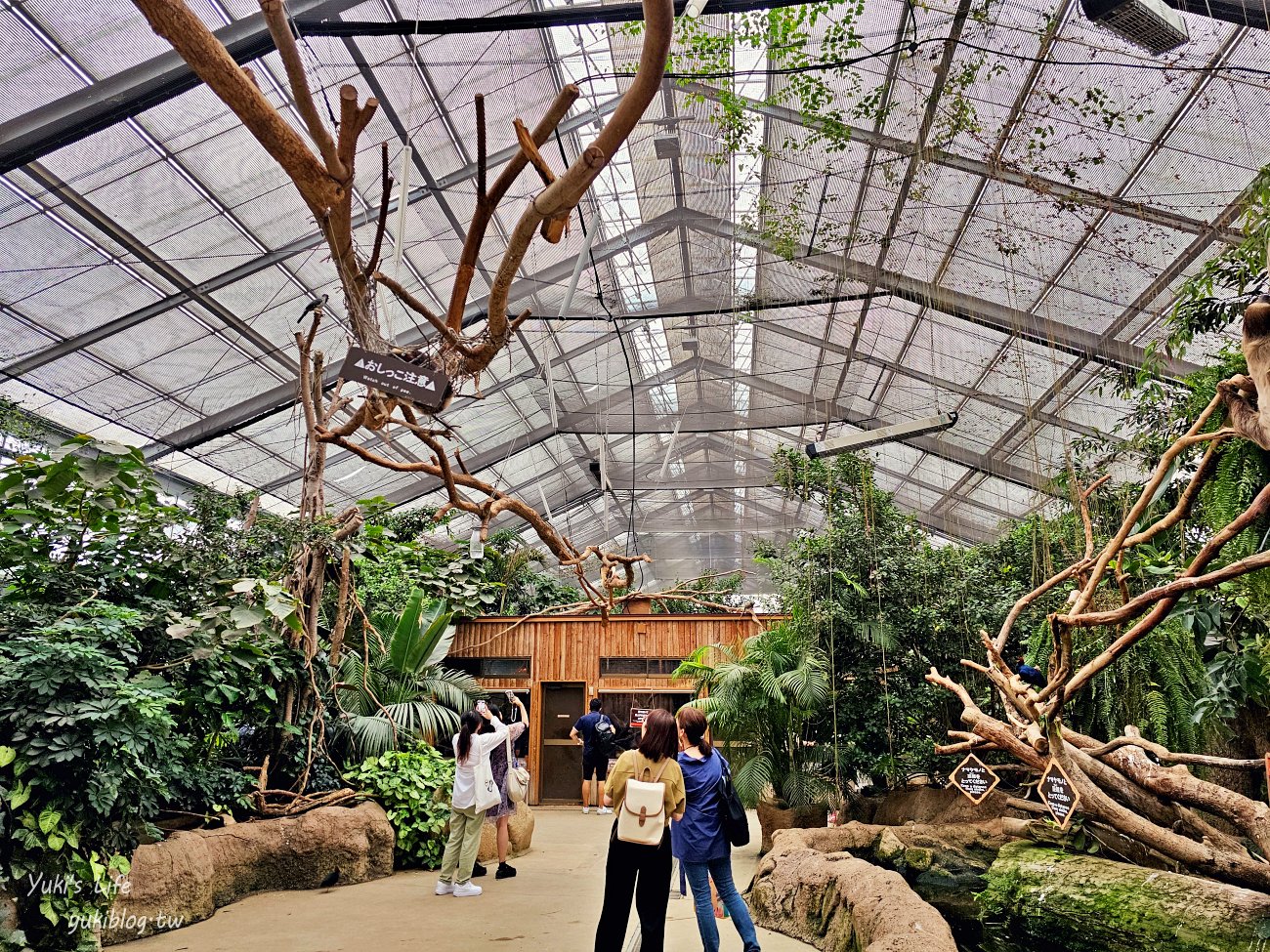 神戶景點》神戶動物王國，超夯親子推薦，室內動物園有水豚君在等你 - yuki.tw