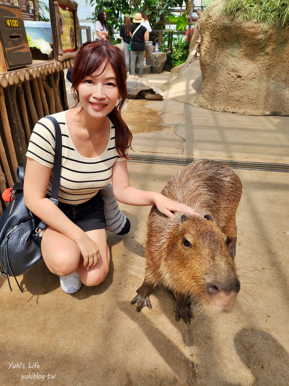 神戶景點》神戶動物王國，超夯親子推薦，室內動物園有水豚君在等你 - yuki.tw