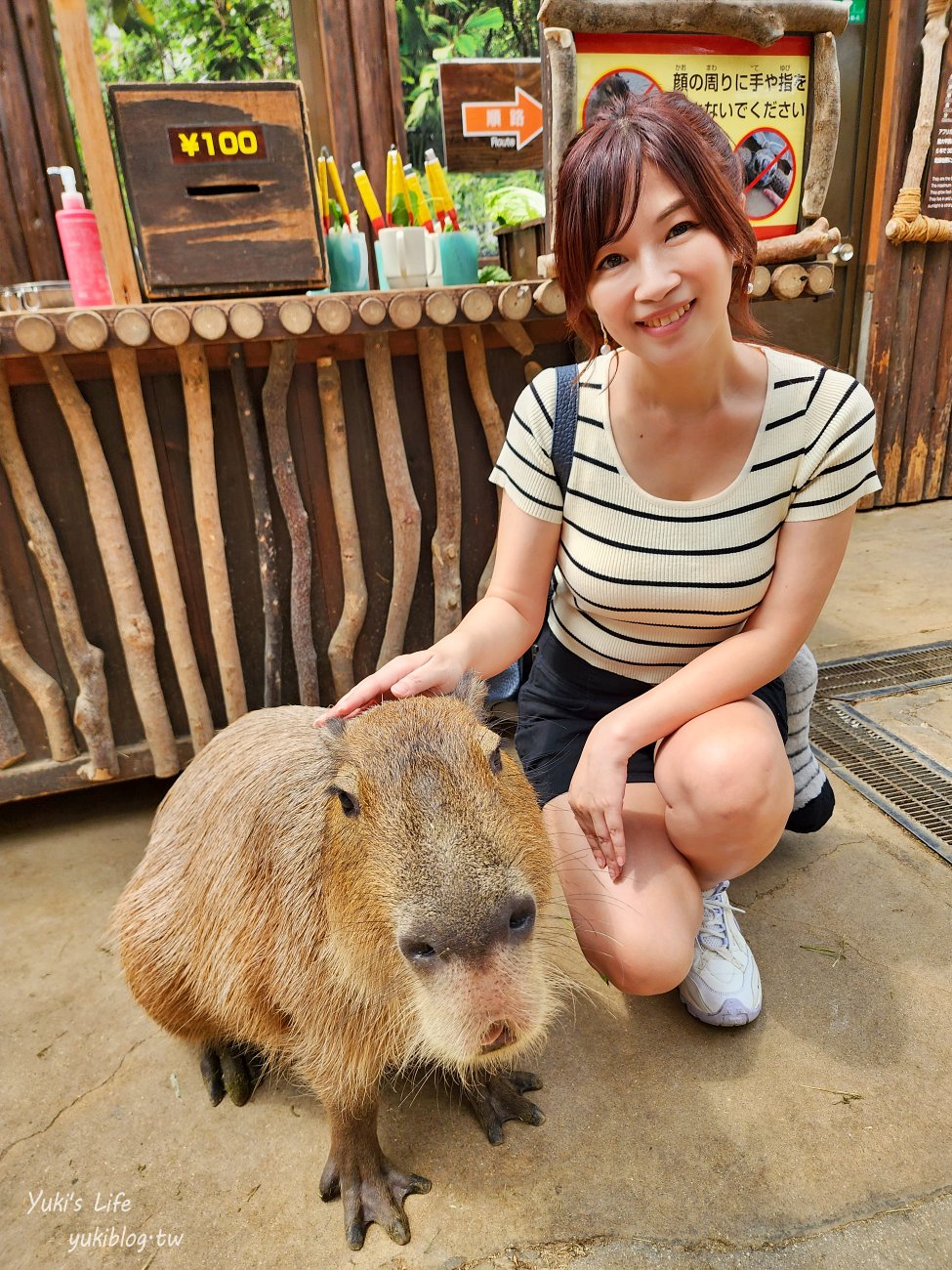 神戶景點》神戶動物王國，超夯親子推薦，室內動物園有水豚君在等你 - yuki.tw