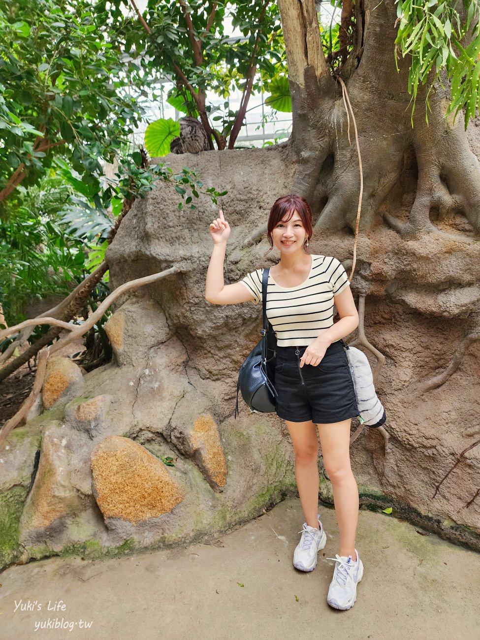 神戶景點》神戶動物王國，超夯親子推薦，室內動物園有水豚君在等你 - yuki.tw