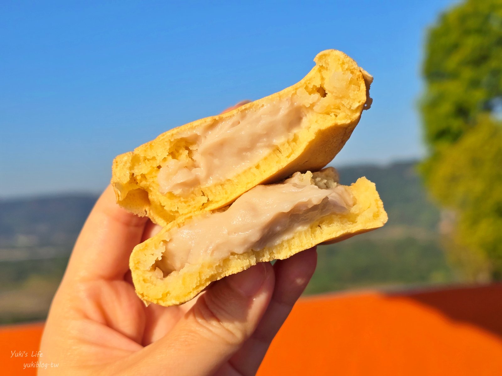 20260128160620_0_f2ca91 桃園景點》大溪蓮座觀音寺，登上百步雲梯的世外桃源，餵魚看長壽龜休閒好去處（停車場）