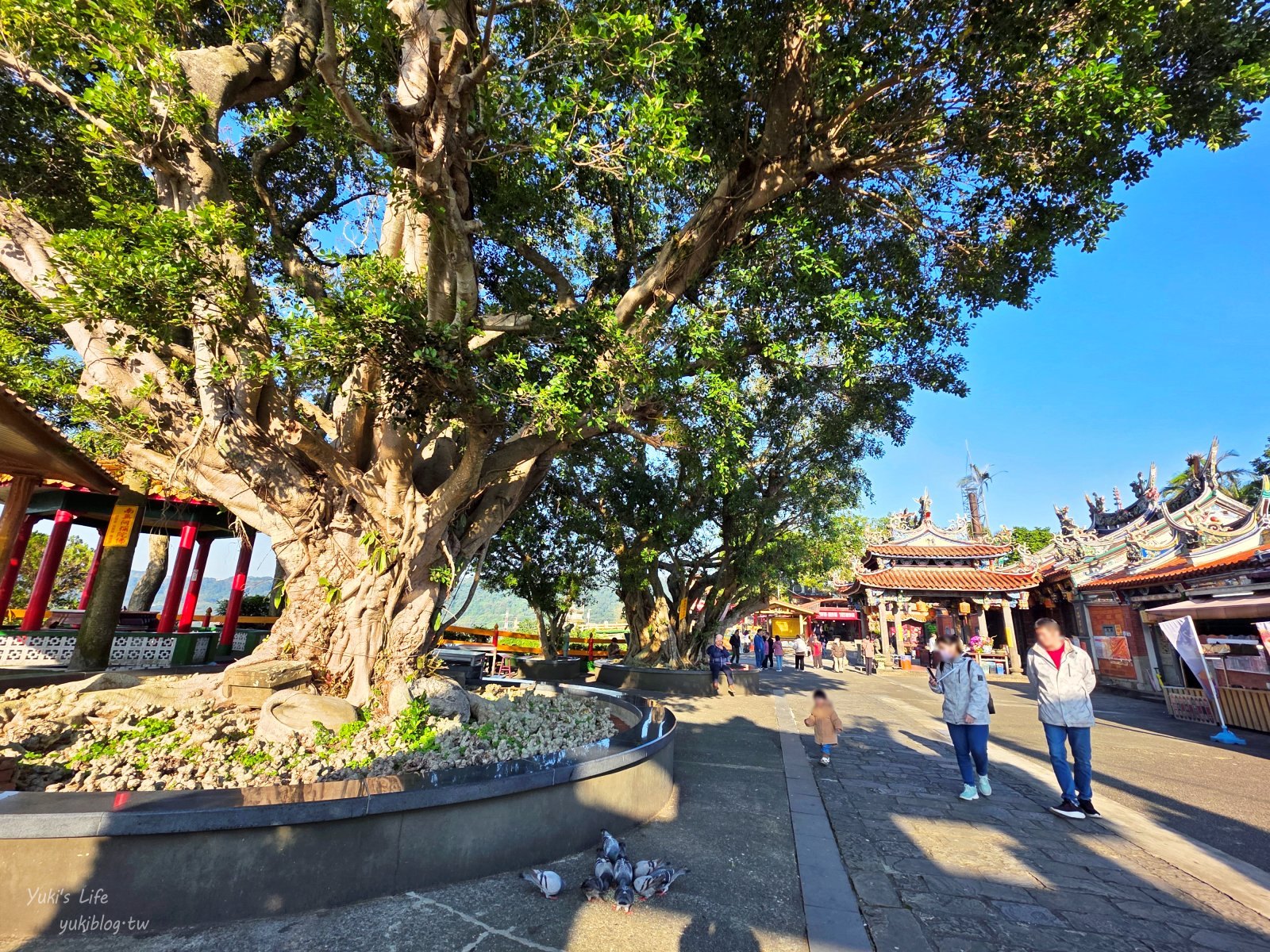 20260128160831_0_e6da1f 桃園景點》大溪蓮座觀音寺，登上百步雲梯的世外桃源，餵魚看長壽龜休閒好去處（停車場）