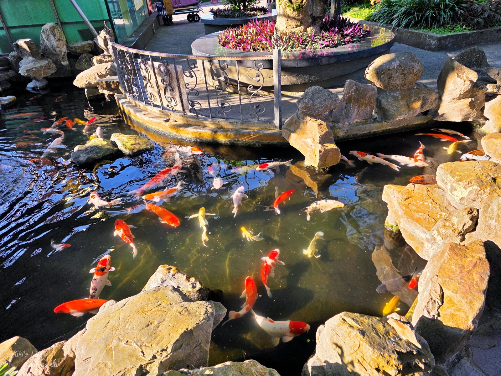 20260128161629_0_aee489 桃園景點》大溪蓮座觀音寺，登上百步雲梯的世外桃源，餵魚看長壽龜休閒好去處（停車場）