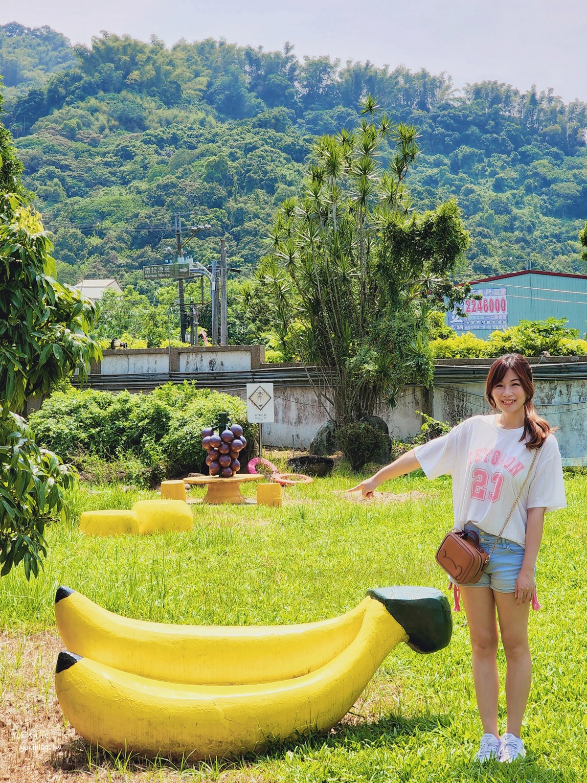 南投旅遊景點|南投酒廠|好拍還免門票,巨大荔枝和酒瓶,親子餵魚 - yuki.tw