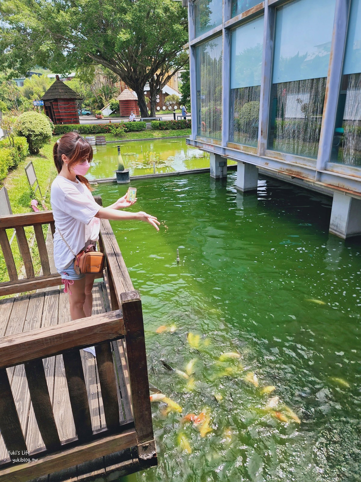 南投旅遊景點|南投酒廠|好拍還免門票,巨大荔枝和酒瓶,親子餵魚 - yuki.tw