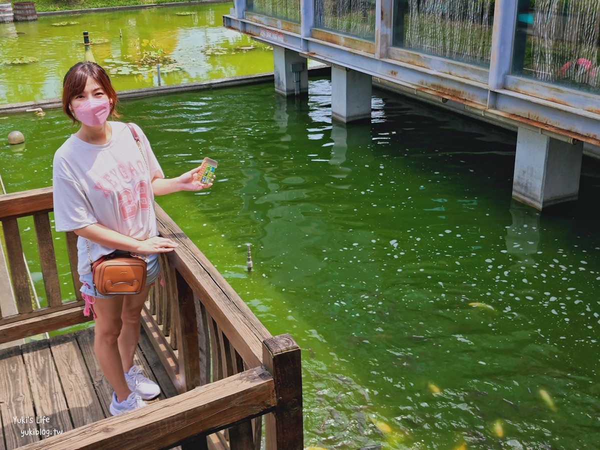 南投旅遊景點|南投酒廠|好拍還免門票,巨大荔枝和酒瓶,親子餵魚 - yuki.tw