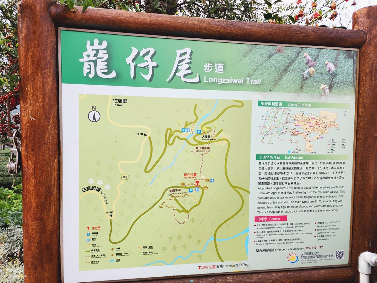 絕美步道在梅山！花石溪步道帶你穿越山谷，最夯木棧道欣賞美景 - yuki.tw