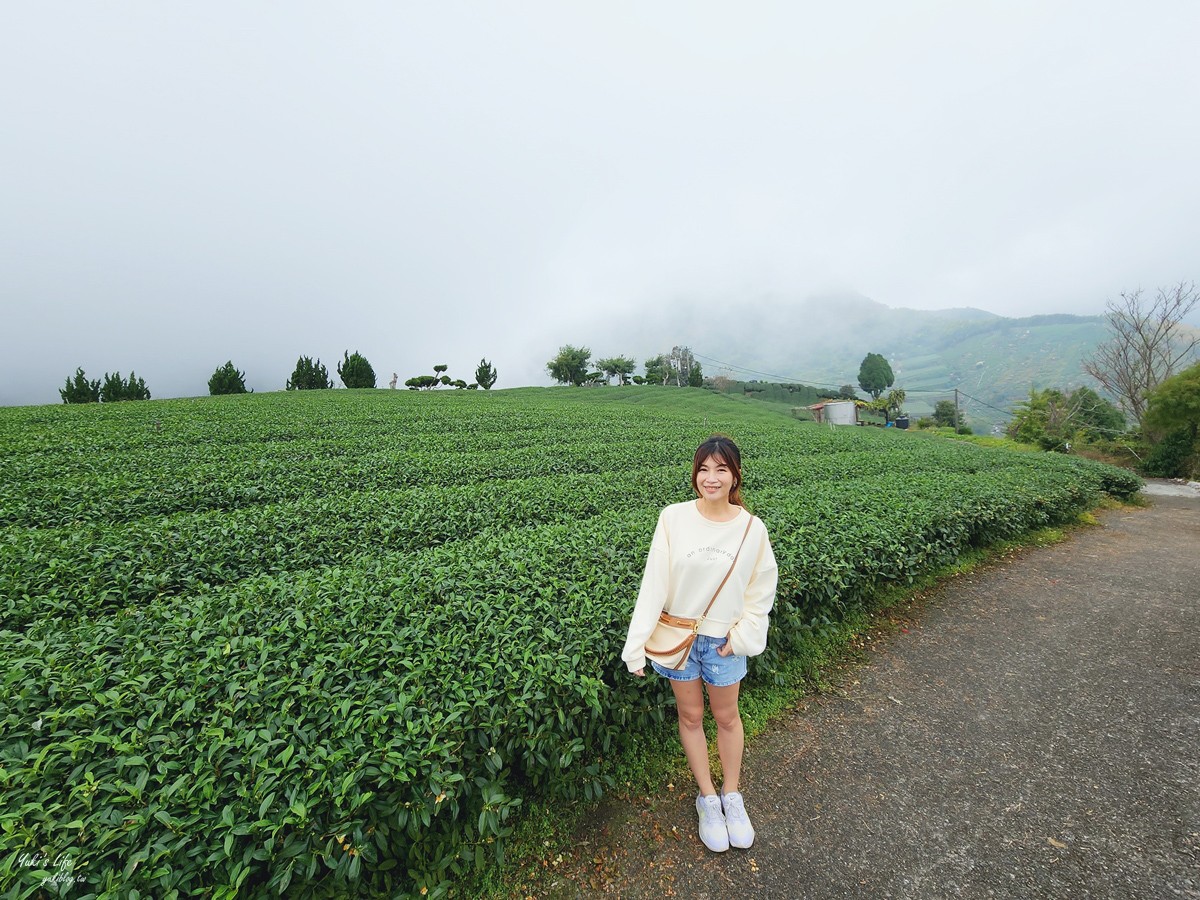 絕美步道在梅山！花石溪步道帶你穿越山谷，最夯木棧道欣賞美景 - yuki.tw