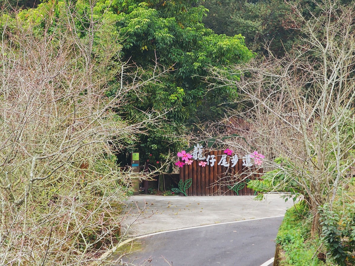 絕美步道在梅山！花石溪步道帶你穿越山谷，最夯木棧道欣賞美景 - yuki.tw