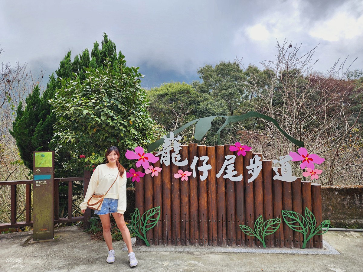 絕美步道在梅山！花石溪步道帶你穿越山谷，最夯木棧道欣賞美景 - yuki.tw