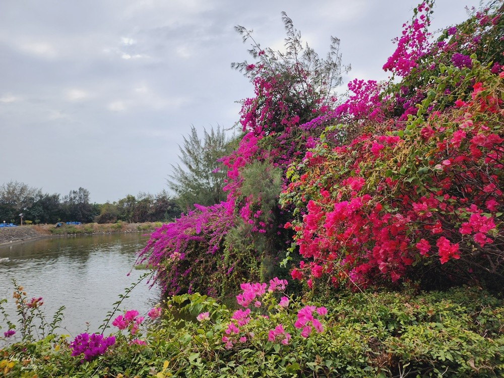 台南安南美食│椰庭景觀餐廳│必吃古早味粉圓冰，被貓咪包圍用餐還能餵魚 - yuki.tw