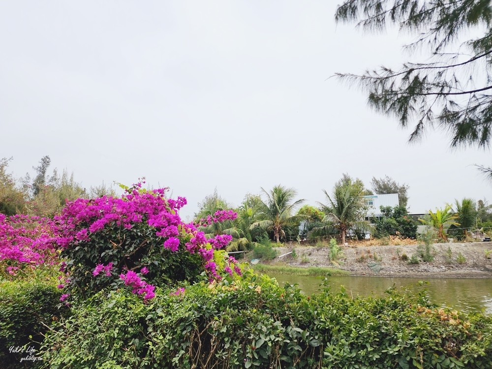 台南安南美食│椰庭景觀餐廳│必吃古早味粉圓冰，被貓咪包圍用餐還能餵魚 - yuki.tw