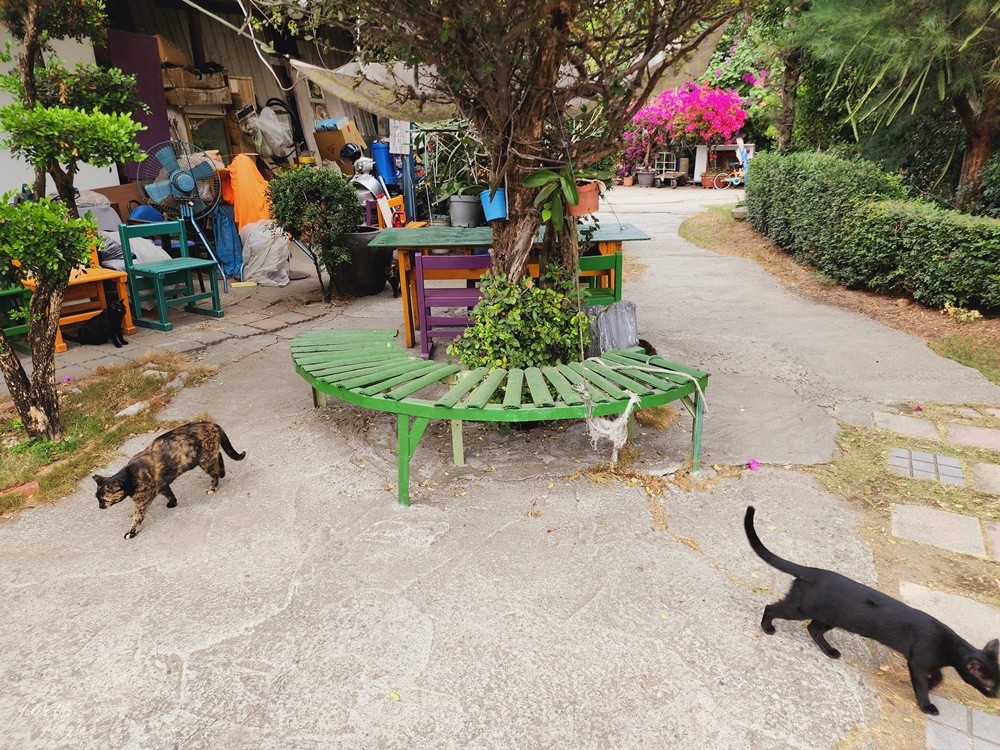 台南安南美食│椰庭景觀餐廳│必吃古早味粉圓冰，被貓咪包圍用餐還能餵魚 - yuki.tw