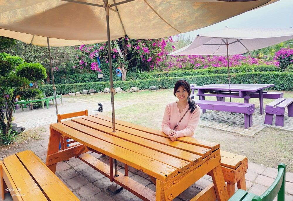 台南安南美食│椰庭景觀餐廳│必吃古早味粉圓冰，被貓咪包圍用餐還能餵魚 - yuki.tw