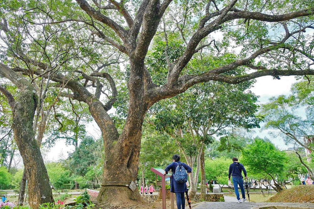 桃園復興景點|角板山行館|一日遊逛角板山公園,品嚐角板山老街美食 - yuki.tw