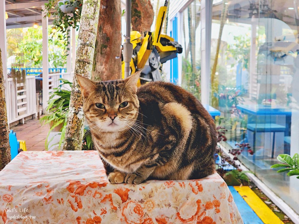 雲林古坑景觀餐廳|56號藍色公路咖啡|有小動物適合親子,藍白色地中海風很好拍 - yuki.tw