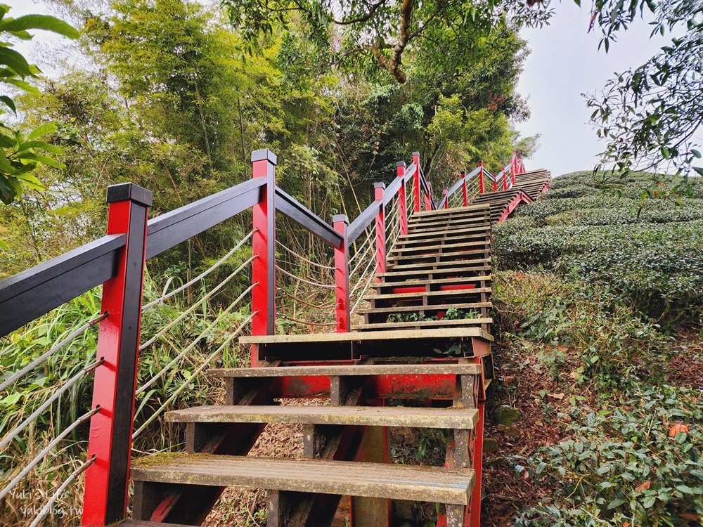 嘉義景點|二尖山步道|有嘉義抹茶山的稱號, 茶園木棧道10分鐘攻頂 - yuki.tw