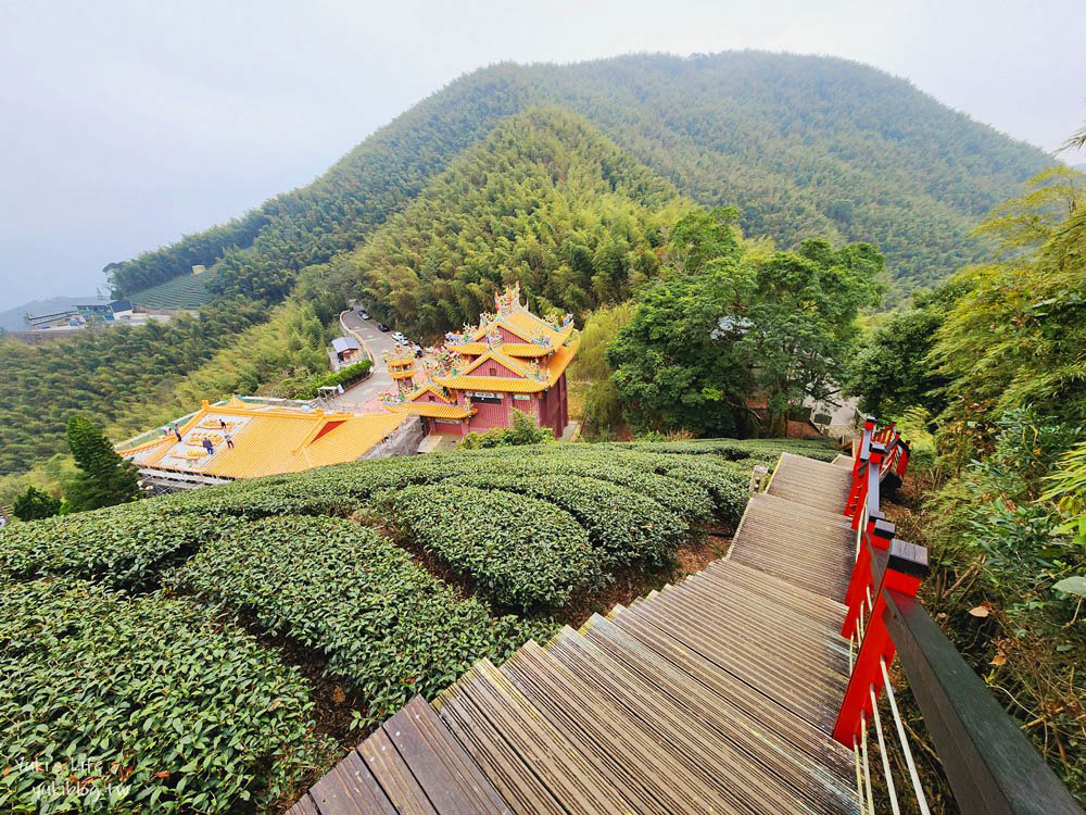 嘉義景點|二尖山步道|有嘉義抹茶山的稱號, 茶園木棧道10分鐘攻頂 - yuki.tw