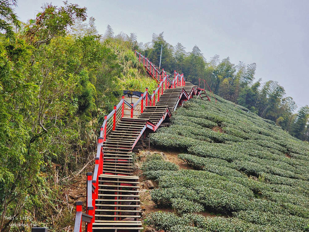 嘉義景點|二尖山步道|有嘉義抹茶山的稱號, 茶園木棧道10分鐘攻頂 - yuki.tw