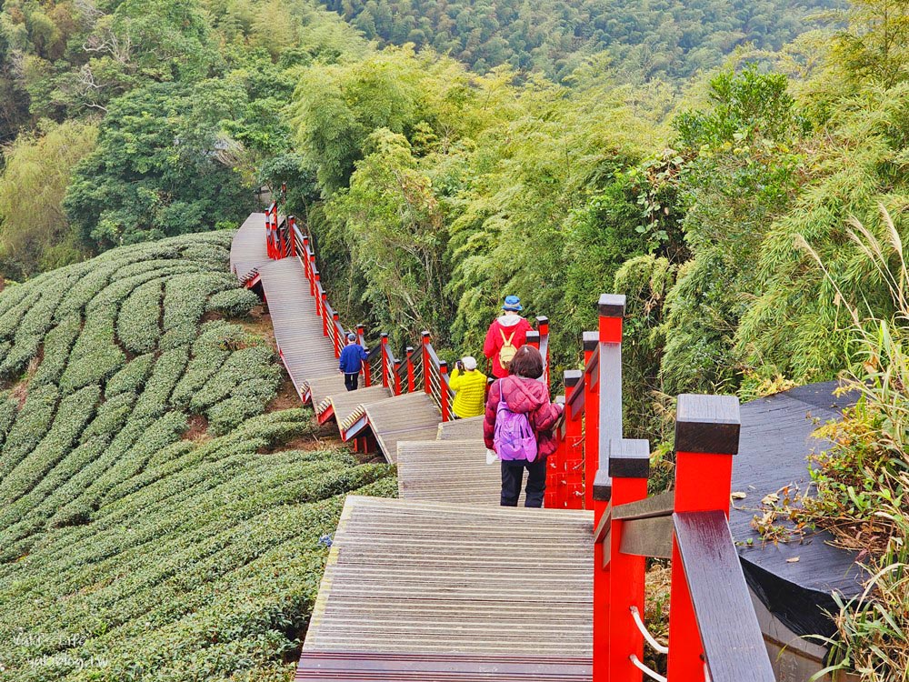 嘉義景點|二尖山步道|有嘉義抹茶山的稱號, 茶園木棧道10分鐘攻頂 - yuki.tw