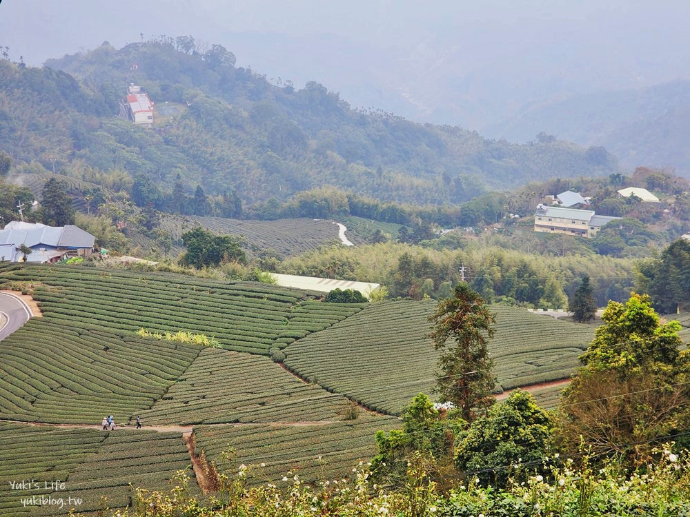 嘉義景點|二尖山步道|有嘉義抹茶山的稱號, 茶園木棧道10分鐘攻頂 - yuki.tw