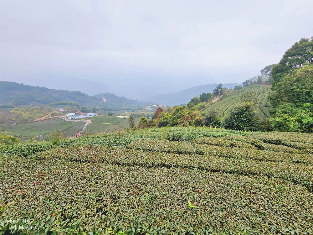 嘉義景點|二尖山步道|有嘉義抹茶山的稱號, 茶園木棧道10分鐘攻頂 - yuki.tw